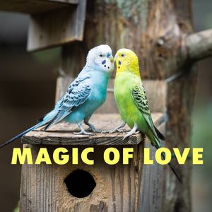 16beatの北斗七星