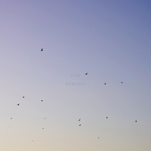 Luh (Misc.Inc Remix)