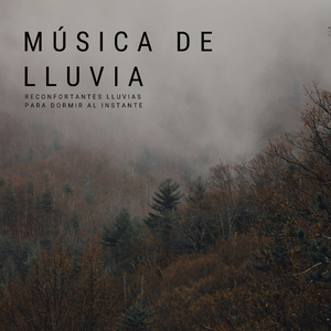 El Camino De La Lluvia