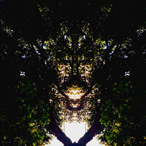 Jangled