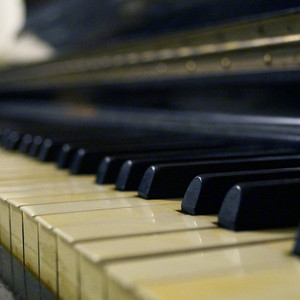 （已售）Piano Kills