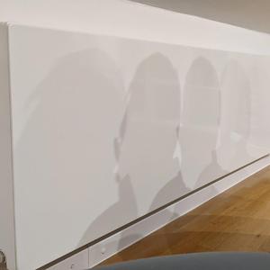 流浪小狗和它的情人