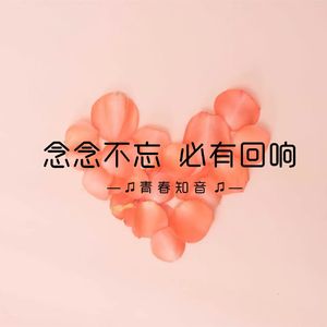 念念不忘  必有回响（伴奏）