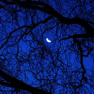 YOSEMITE (Instrumental)