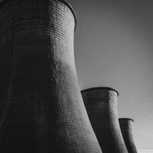 Большая хищная птица