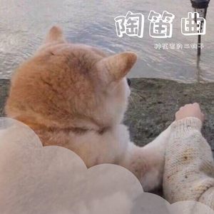 短歌行 陶笛版（翻自 许鹤缤）