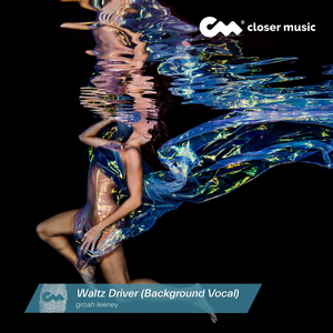 Waltz Driver (Background Vocal)
