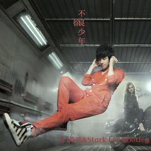 徐良-徐良-友情出演(KJ炸鸡&Stark Lee Bootleg）