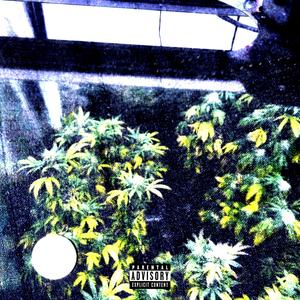 MAJ#2 (feat. LX, MTS & teylo)