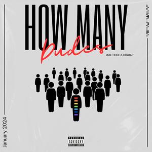 How Many Dudes? (feat. DigBar)