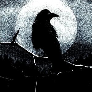 天下乌鸦一般黑( prod by 海森堡）