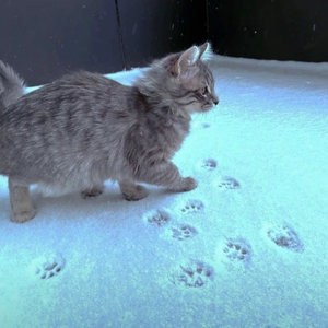 我们的约定作废