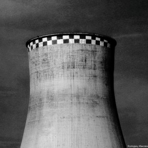 Большая хищная птица