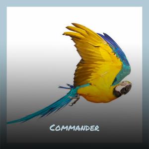 Reforestation Gunshot