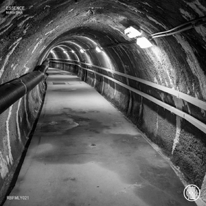 Trascending (Original Mix)
