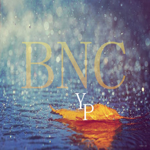 冷雨