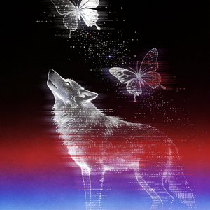 狼少年与蝴蝶结