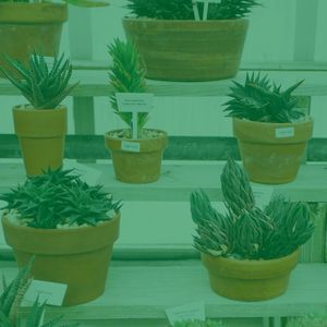 柔和的购物中心时刻