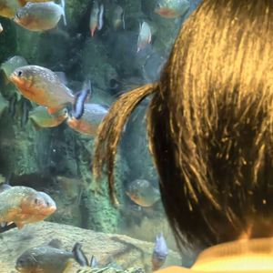 你已经跑不掉了。