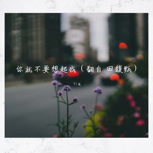 你就不要想起我