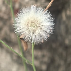 《悲欢成烬，终成陌路》