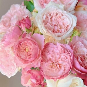 我爱你看向我时灿若星辰的眼眸