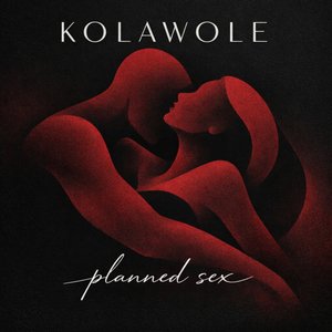Planned Sex