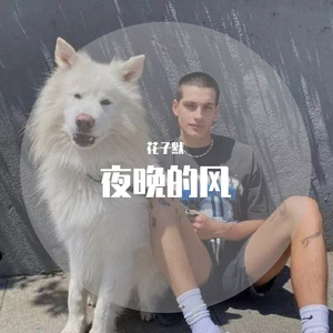 花子默-说谎(Dj版)（花子默 remix）