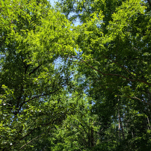 私はわかっている