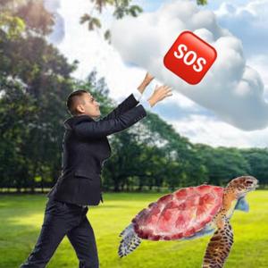 SOS DREAMCATCHER--prod.iJukai