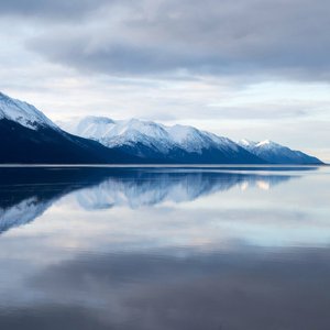 Antonym (Piano Version)