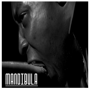 Mandíbula