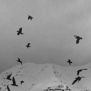 畸形儿-DeformedBoi-凛冬将至(zcz remix)（ZCZ福罗贝 / gc / DTBZ remix）