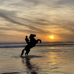 Battir-Leila（Battir remix）