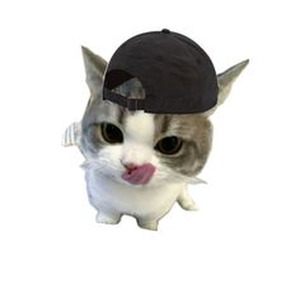 ariana grande unrelased