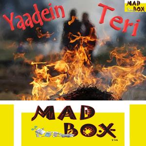 Yaadein Teri Tanhaai Ban Ke Reh Gayee