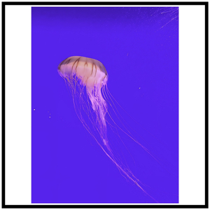 Sebastian Bach Version Jhuan