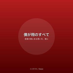 僕が翔のすべて