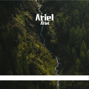 Ariel
