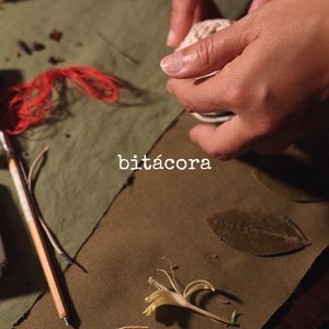 Bitácora