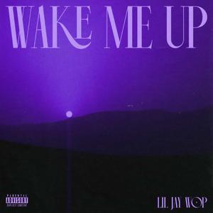 Wake Me Up