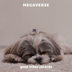 MEGAVERSE