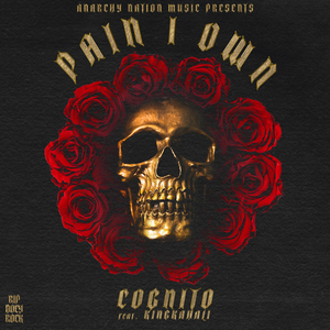 Pain I Own
