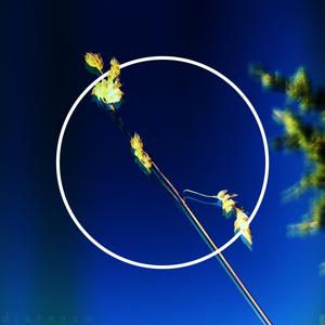 For the Love of It All