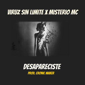 Desapareciste