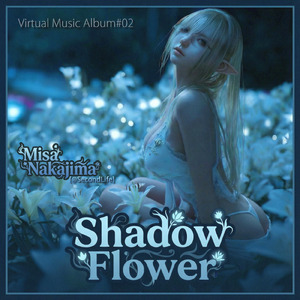 Introduction of the Shadow