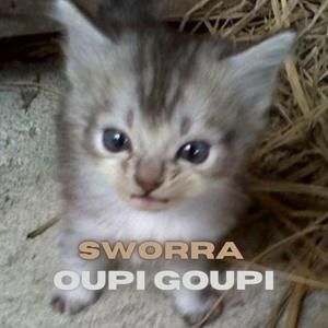 UNISWAP (8D)