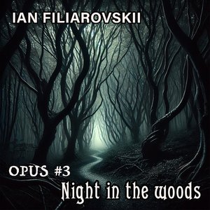Opus #3 Night in the Woods