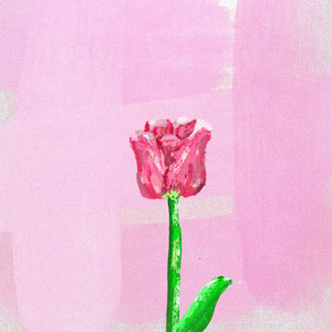Tulip