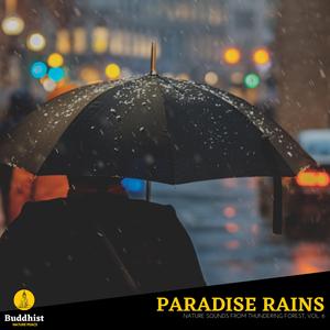 Deluging Soft Rain